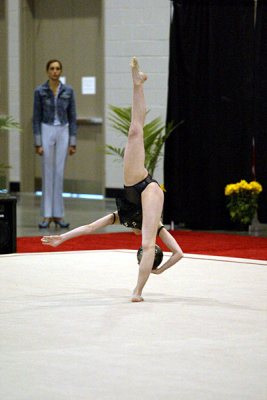 150178_gymnastics.jpg