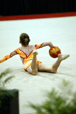 150371_gymnastics.jpg