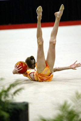 150373_gymnastics.jpg