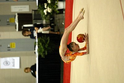 150399_gymnastics.jpg