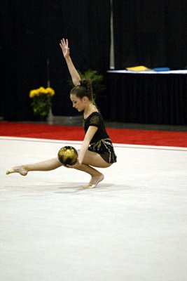 150458_gymnastics.jpg