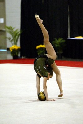 150482_gymnastics.jpg