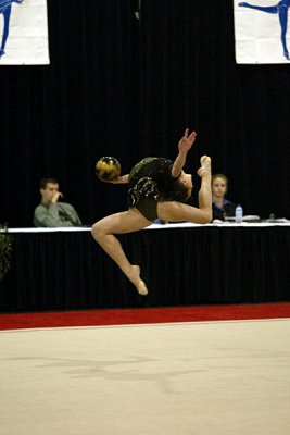 150493_gymnastics.jpg