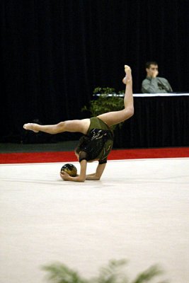 150495_gymnastics.jpg