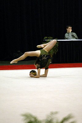 150497_gymnastics.jpg