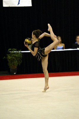 150499_gymnastics.jpg