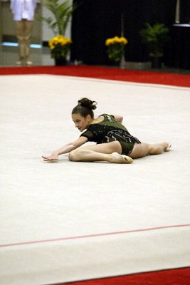 150508_gymnastics.jpg