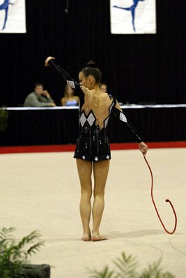 150543_gymnastics.jpg