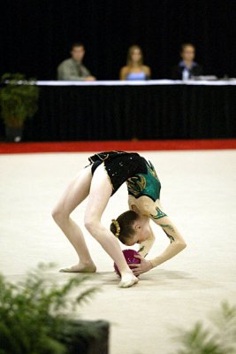 150615_gymnastics.jpg