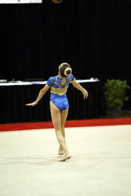 150719_gymnastics.jpg
