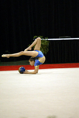 150728_gymnastics.jpg