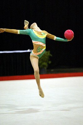 160355_gymnastics.jpg