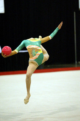 160360_gymnastics.jpg