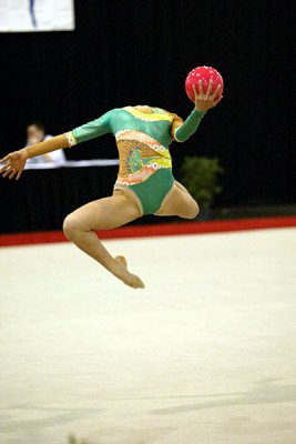 160361_gymnastics.jpg