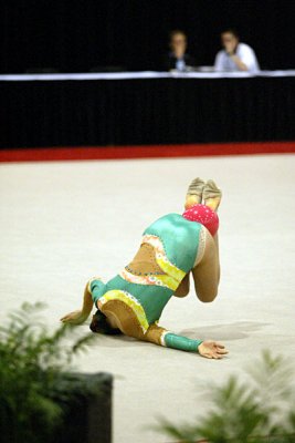 160370_gymnastics.jpg