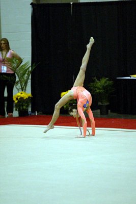 160387_gymnastics.jpg