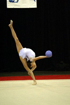 160473_gymnastics.jpg