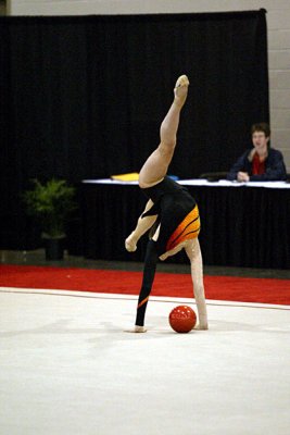 160585_gymnastics.jpg