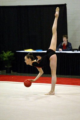 160590_gymnastics.jpg