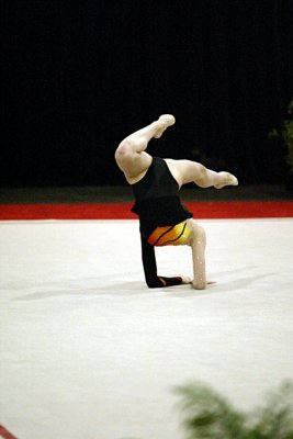 160607_gymnastics.jpg