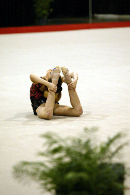 170355_gymnastics.jpg