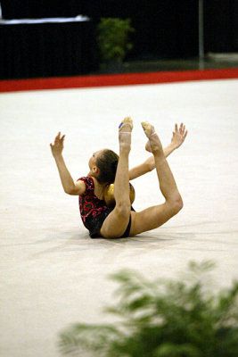 170356_gymnastics.jpg