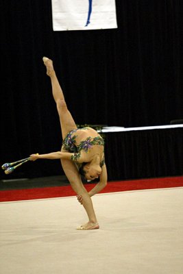 180165_gymnastics.jpg