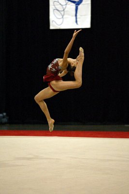 180332_gymnastics.jpg