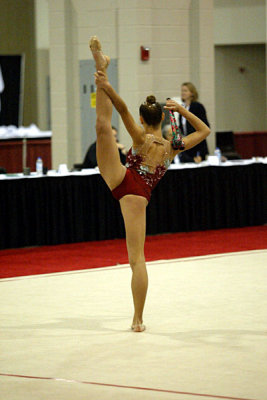 180338_gymnastics.jpg