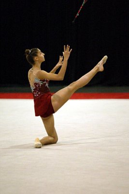 180350_gymnastics.jpg