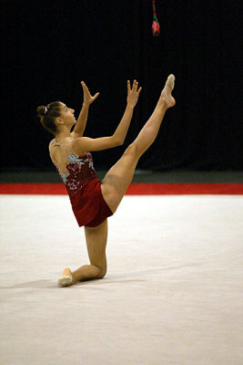 180351_gymnastics.jpg