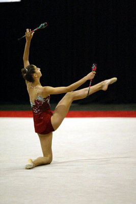 180353_gymnastics.jpg