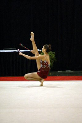 180360_gymnastics.jpg