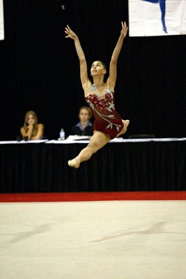 180362_gymnastics.jpg