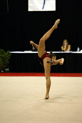 180370_gymnastics.jpg