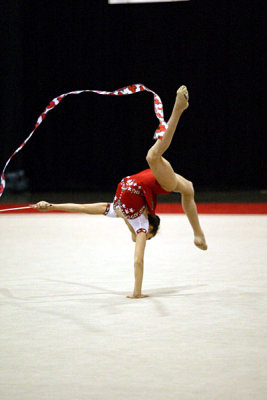 180379_gymnastics.jpg