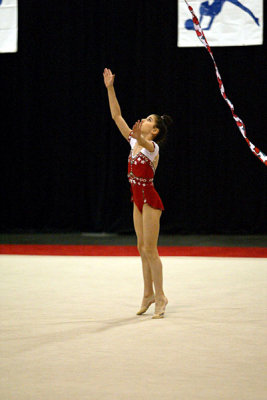 180384_gymnastics.jpg