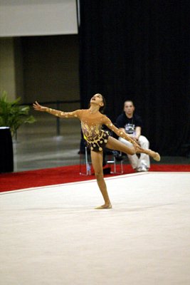 180434_gymnastics.jpg