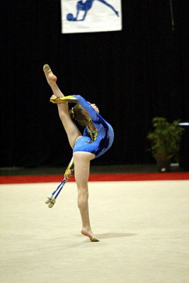 180784_gymnastics.jpg