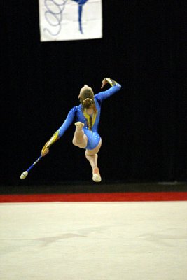 180785_gymnastics.jpg