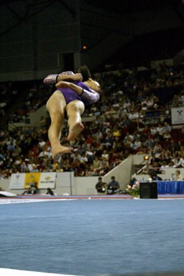 270137_gymnastics.jpg