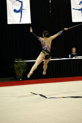 250001_gymnastics.jpg