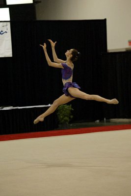 250039_gymnastics.jpg