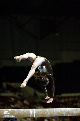 250274_gymnastics.jpg