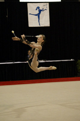 240019_gymnastics.jpg