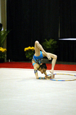 230015_gymnastics.jpg