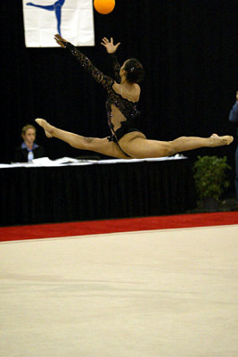 230094_gymnastics.jpg