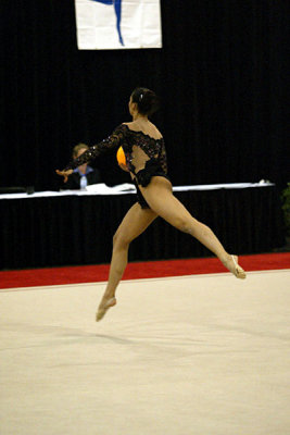 230095_gymnastics.jpg