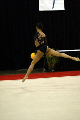 230098_gymnastics.jpg