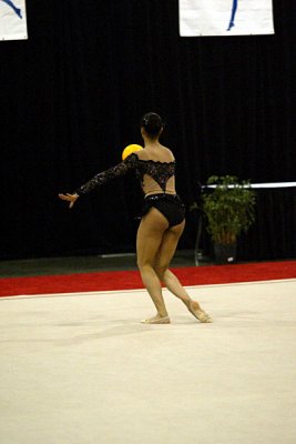 230099_gymnastics.jpg